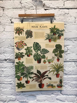 House Plants Poster-Poster-Yellow Umbrella