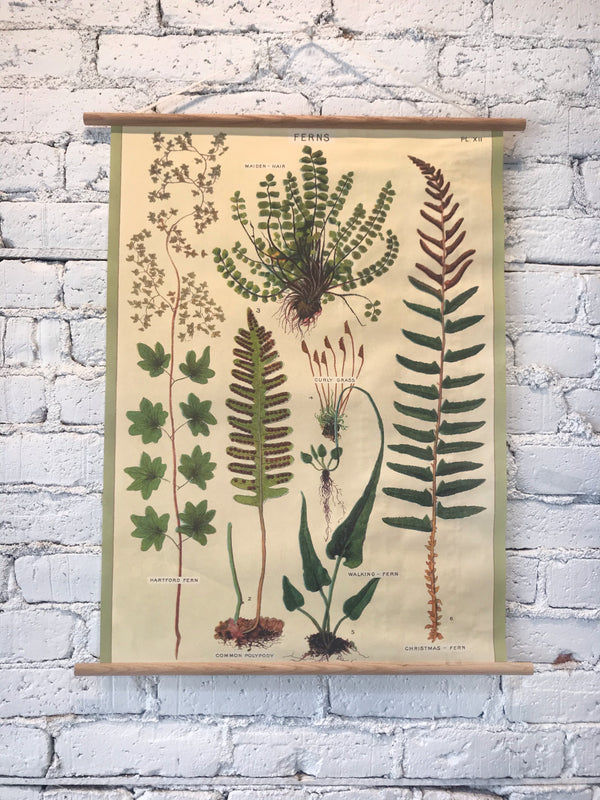 Vintage Poster Hanging Kit