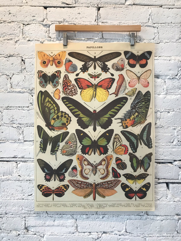 Papillons Poster